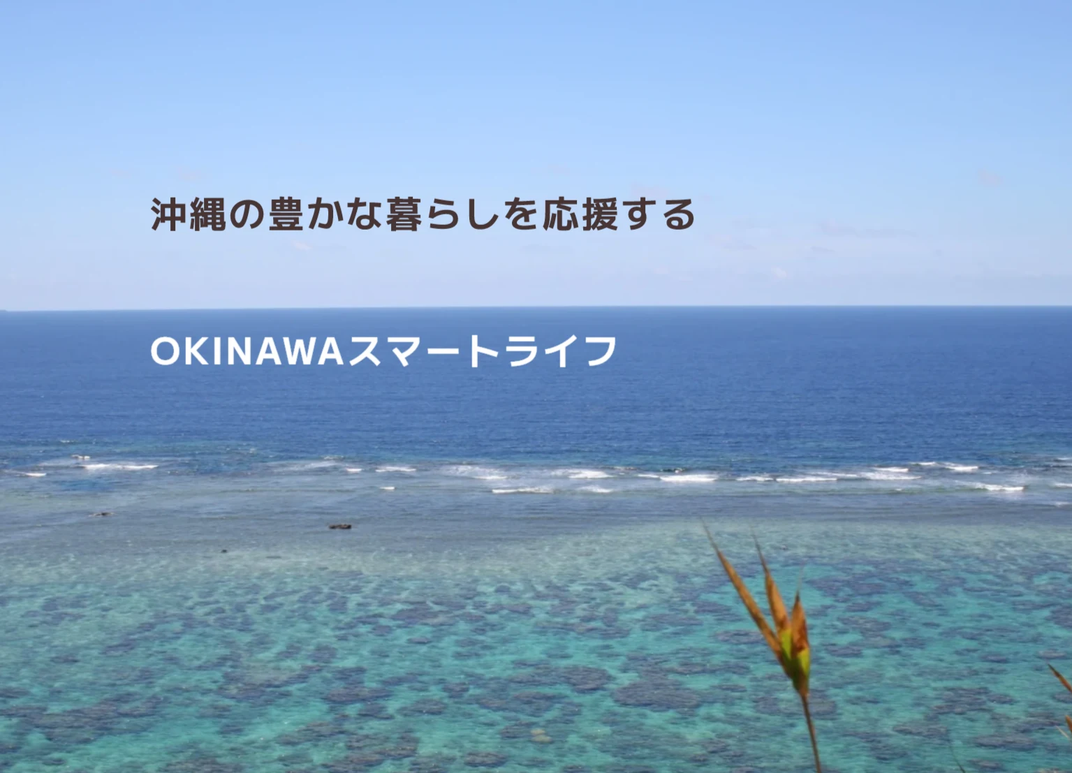 OKINAWAスマートライフ LP
